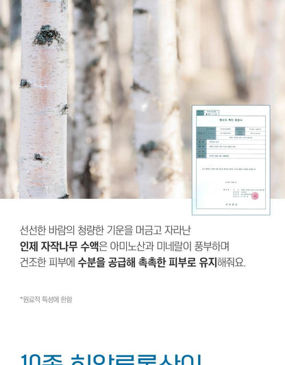 ROUND LAB X Nunmeongi - Birch Juice Moisturizing Double Gel Mask