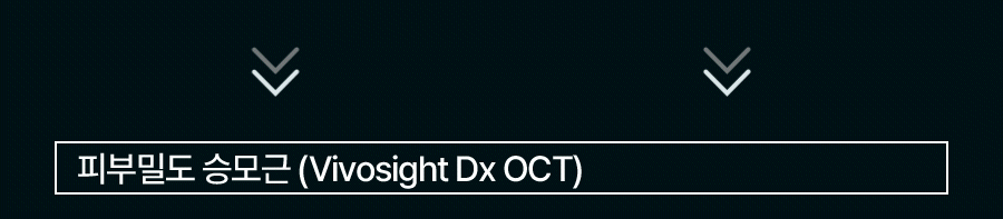 BodyCut - TuneFit V2 ICE Edition (Cooling & Firming Body Care)