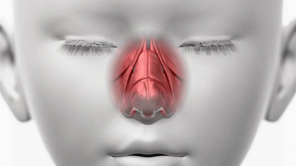 HONBODY - Nose Tune (Beauty Device)