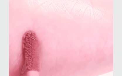 fwee - Rose Obsession Stay-Fit Lip Tint