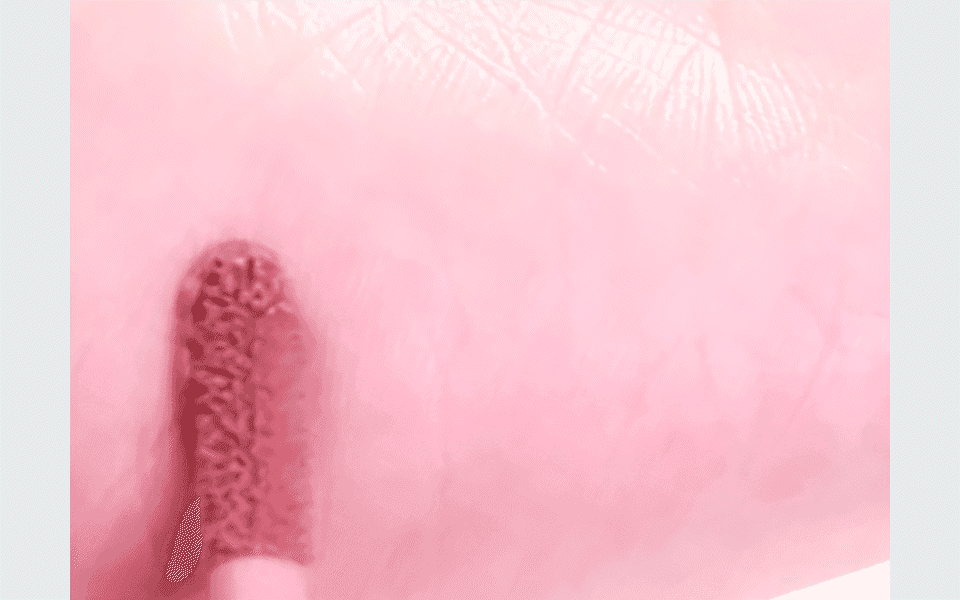 fwee - Rose Obsession Stay-Fit Lip Tint
