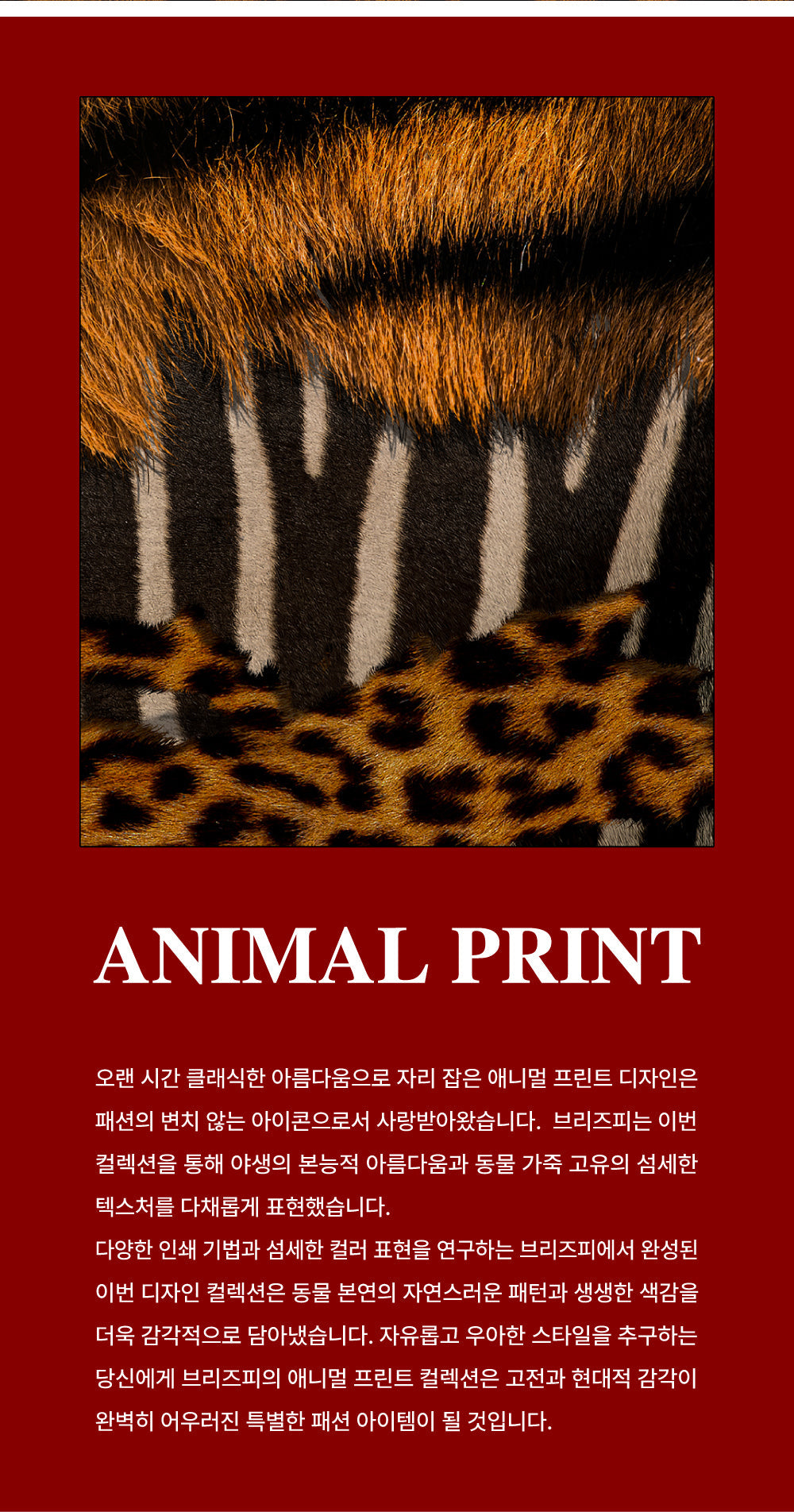Breezfy - Leopard MagSafe iPhone Case - Graphite Frame (Stray Kids I.N Wear)
