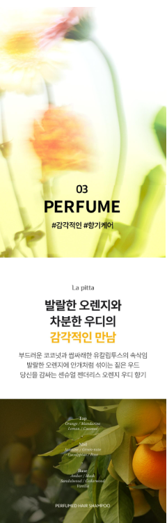 LADOR - Perfumed Hair Shampoo 530ml (JIMIN's Pick)