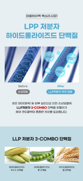 BIORECIPE 1 Sec Damage Care Marble Hair Pack 300g