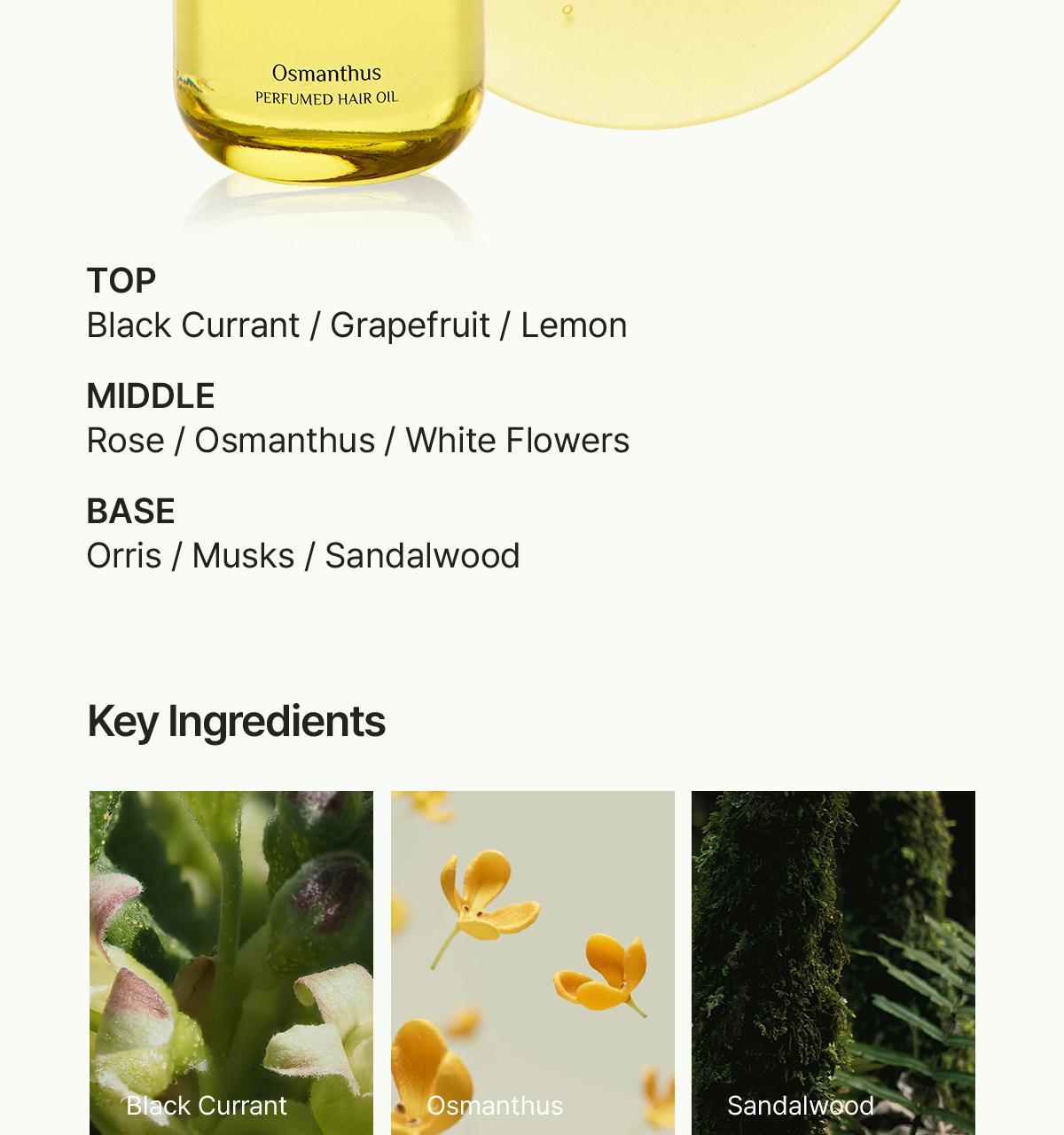 LADOR - Perfumed Hair Oil 80ml (JIMIN's Pick)