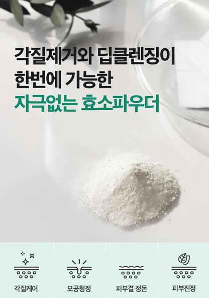 ISNTREE - Mugwort Calming Powder Wash 1g x25 (NCT JAEMIN Pick)