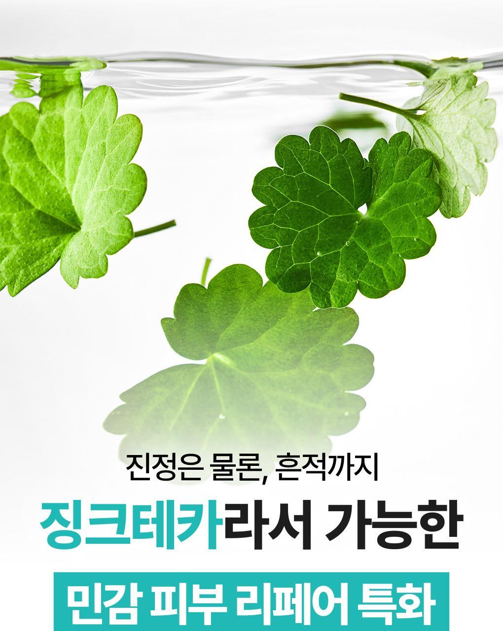 BRINGGREEN X ANKYUNGMANDOO - Zinc TECA Repair Cream 80ml