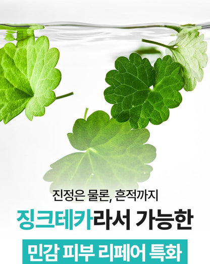 BRINGGREEN X ANKYUNGMANDOO - Zinc TECA Repair Cream 80ml