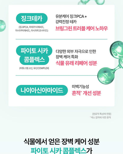 BRINGGREEN X ANKYUNGMANDOO - Zinc TECA Repair Cream 80ml