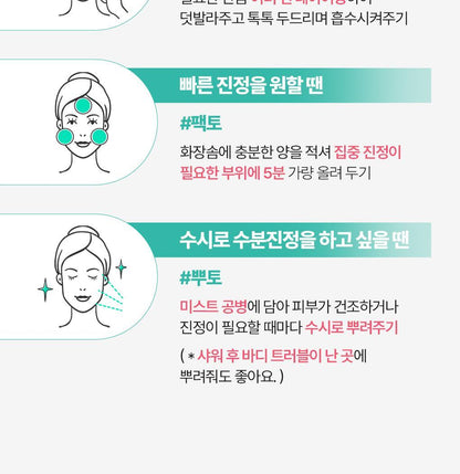 BRINGGREEN - Tea Tree Cica Soothing Toner 500ml (+Serum 3ml)