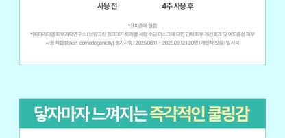 BRINGGREEN - Zinc Teca Blemish Serum Soothing Mask (3+1)