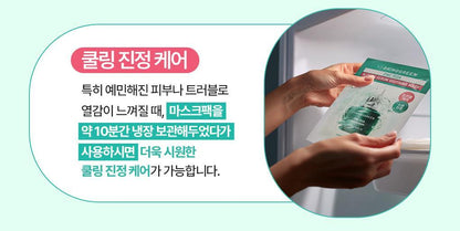 BRINGGREEN - Zinc Teca Blemish Serum Soothing Mask (3+1)