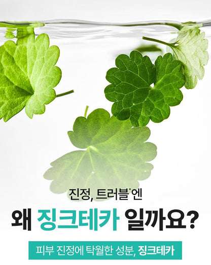 BRINGGREEN X ANKYUNGMANDOO - Zinc TECA Blemish Serum
