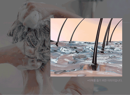 COSMÖD:LAB - Exsolute Shampoo