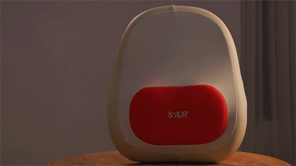 [SPAR] - Portable Waist Massager