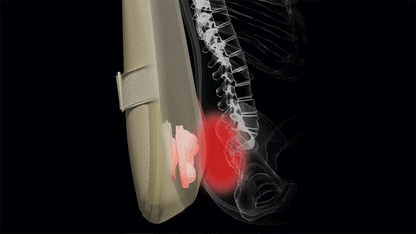 [SPAR] - Portable Waist Massager