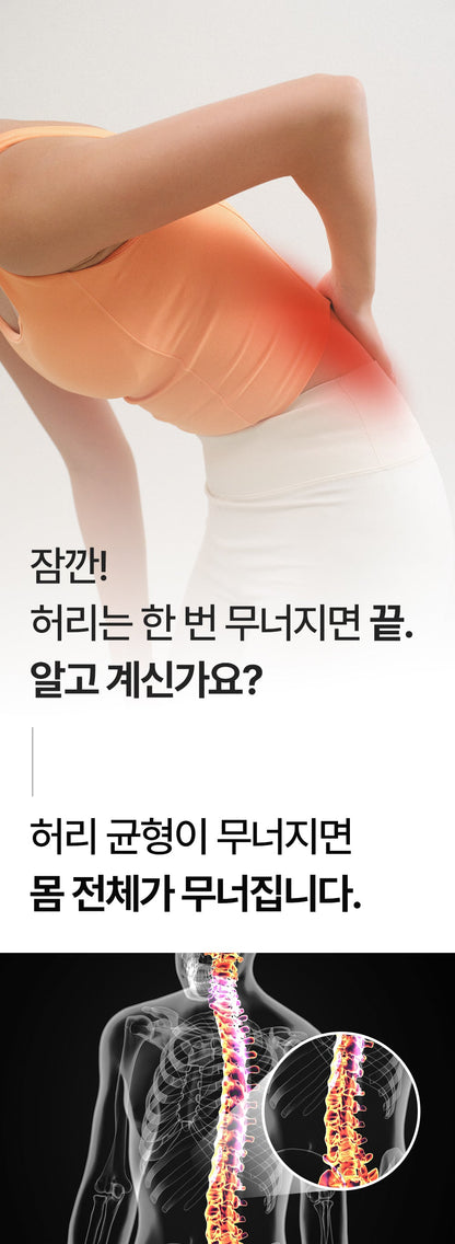 [SPAR] - Portable Waist Massager