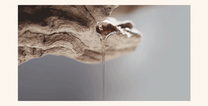 Mastic Mastic - White Mastic Toner Pad